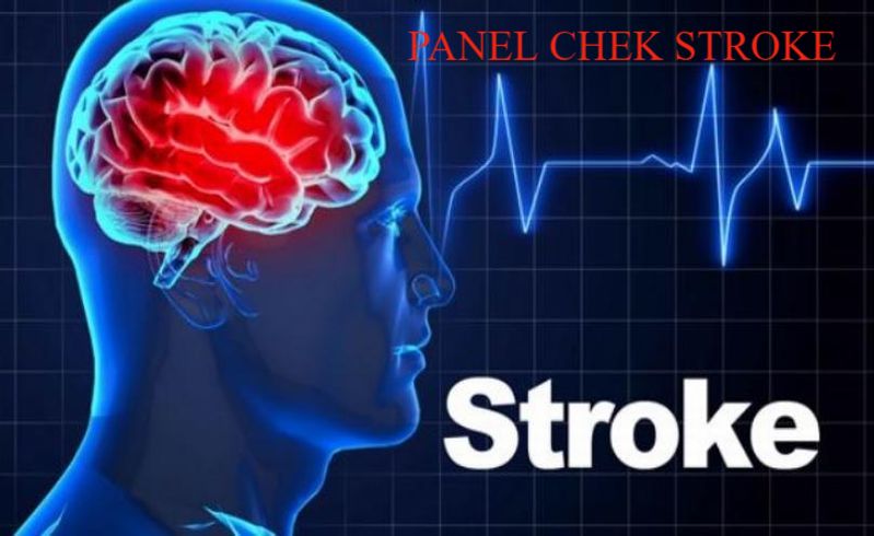 PANEL CHEK STROKE